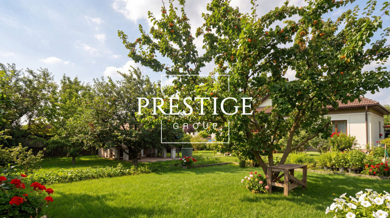 offers.public.images.photo